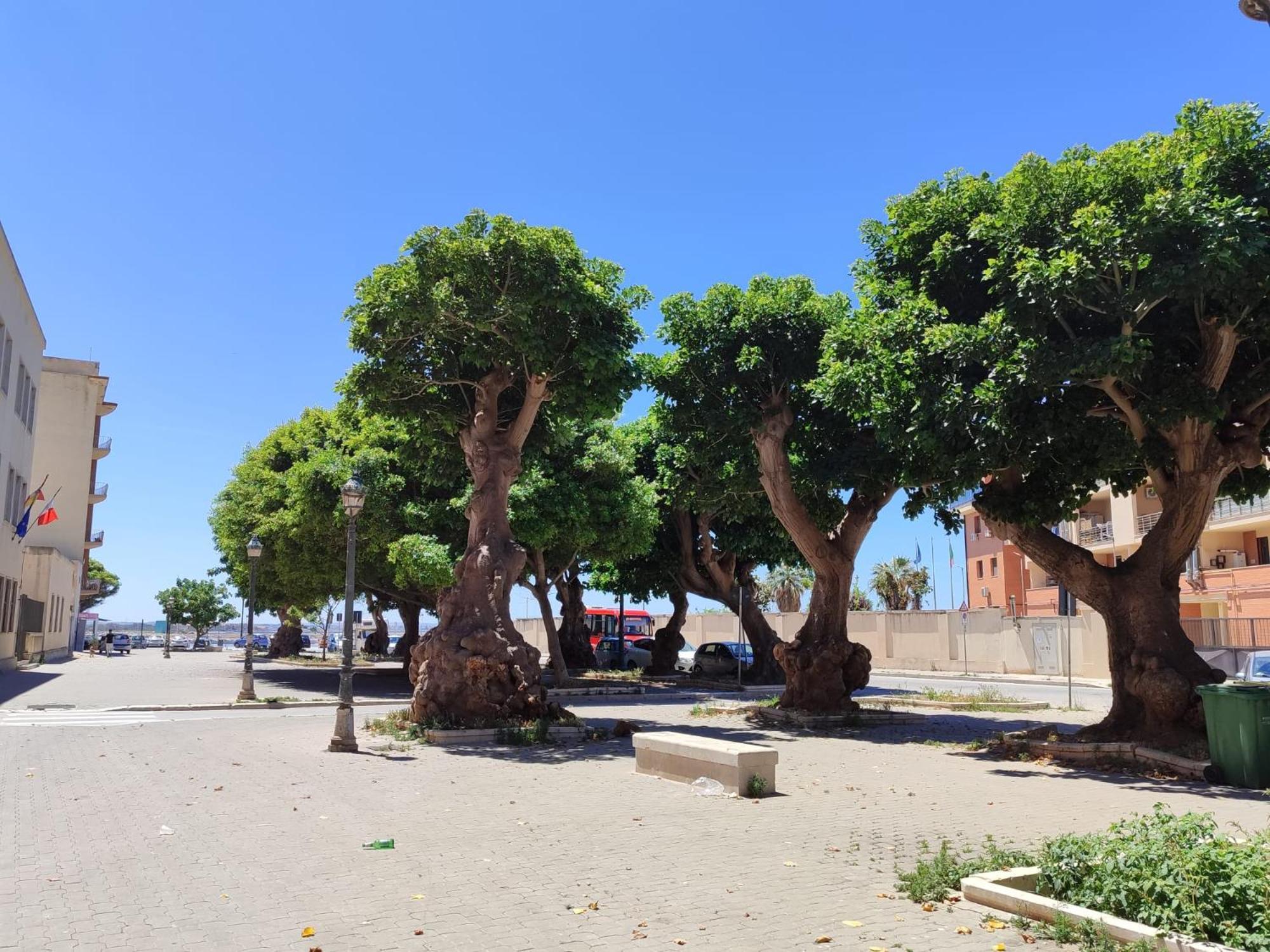 Alla Marina Da Pina تراباني المظهر الخارجي الصورة